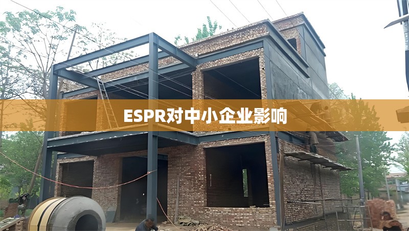 ESPR對中小企業(yè)影響 行業(yè)新聞 第1張