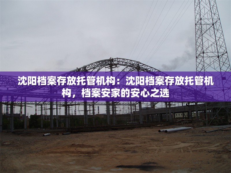 沈陽檔案存放托管機(jī)構(gòu)：沈陽檔案存放托管機(jī)構(gòu)，檔案安家的安心之選 行業(yè)新聞