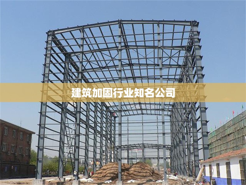 建筑加固行業(yè)知名公司 行業(yè)新聞 第1張 建筑加固行業(yè)知名公司 行業(yè)新聞 第1張