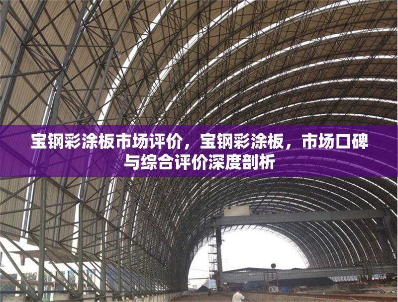 寶鋼彩涂板市場評(píng)價(jià)，寶鋼彩涂板，市場口碑與綜合評(píng)價(jià)深度剖析