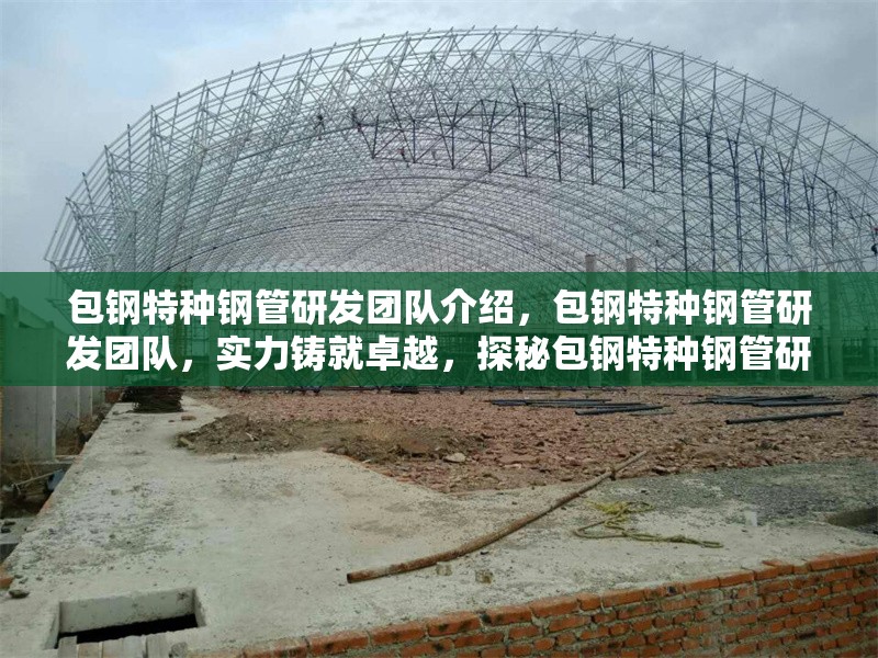 包鋼特種鋼管研發(fā)團(tuán)隊(duì)介紹，包鋼特種鋼管研發(fā)團(tuán)隊(duì)，實(shí)力鑄就卓越，探秘包鋼特種鋼管研發(fā)團(tuán)隊(duì)，包鋼特種鋼管研發(fā)團(tuán)隊(duì)，創(chuàng)新驅(qū)動(dòng)的鋼鐵先鋒，包鋼特種鋼管研發(fā)團(tuán)隊(duì)風(fēng)采錄 行業(yè)新聞 第6張