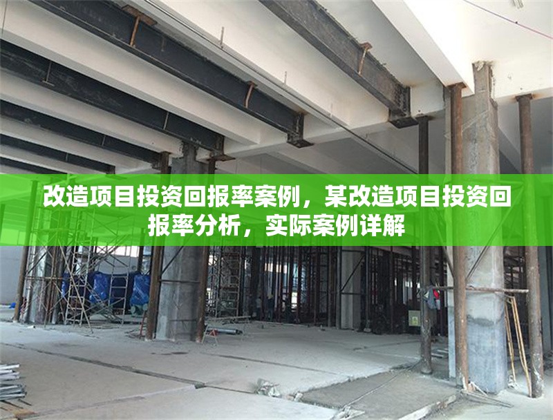 改造項(xiàng)目投資回報(bào)率案例，某改造項(xiàng)目投資回報(bào)率分析，實(shí)際案例詳解