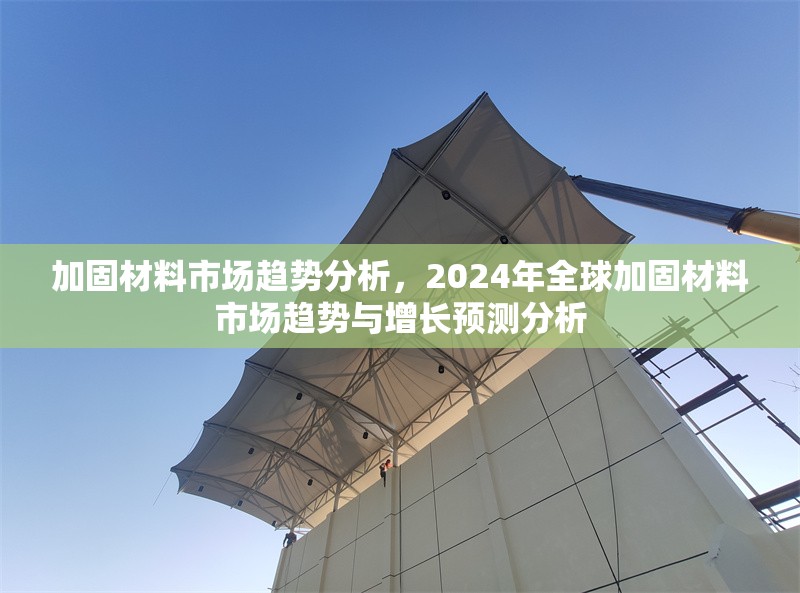 加固材料市場趨勢分析，2024年全球加固材料市場趨勢與增長預測分析 行業(yè)新聞 第1張