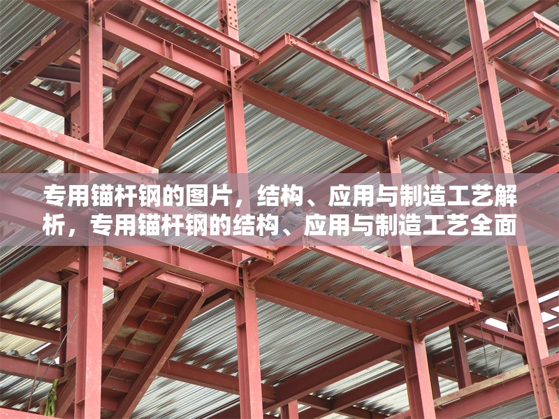 專用錨桿鋼的圖片，結(jié)構(gòu)、應(yīng)用與制造工藝解析，專用錨桿鋼的結(jié)構(gòu)、應(yīng)用與制造工藝全面解析