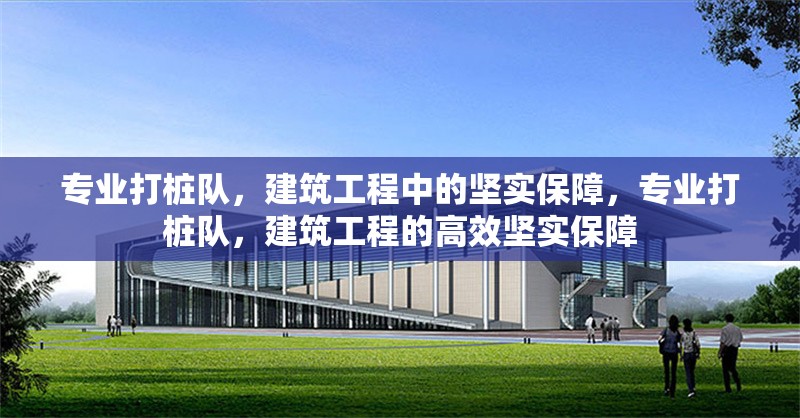 專(zhuān)業(yè)打樁隊(duì)，建筑工程中的堅(jiān)實(shí)保障，專(zhuān)業(yè)打樁隊(duì)，建筑工程的高效堅(jiān)實(shí)保障