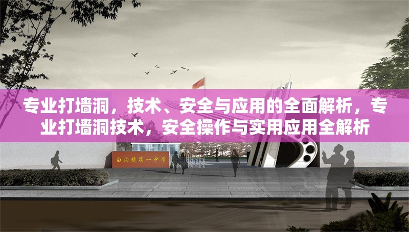 專業(yè)打墻洞，技術(shù)、安全與應(yīng)用的全面解析，專業(yè)打墻洞技術(shù)，安全操作與實(shí)用應(yīng)用全解析 行業(yè)新聞