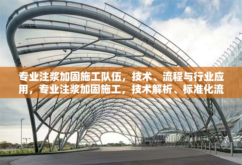 專業(yè)注漿加固施工隊伍，技術(shù)、流程與行業(yè)應(yīng)用，專業(yè)注漿加固施工，技術(shù)解析、標(biāo)準(zhǔn)化流程與多領(lǐng)域應(yīng)用實踐