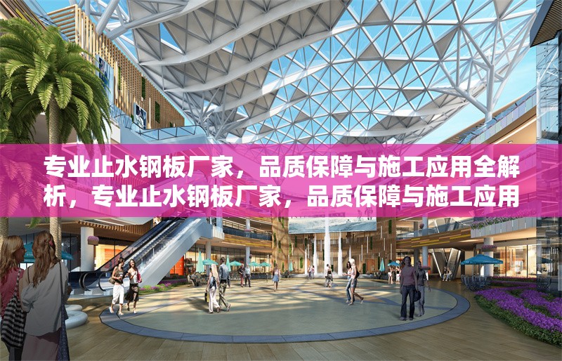 專業(yè)止水鋼板廠家，品質(zhì)保障與施工應(yīng)用全解析，專業(yè)止水鋼板廠家，品質(zhì)保障與施工應(yīng)用全解析