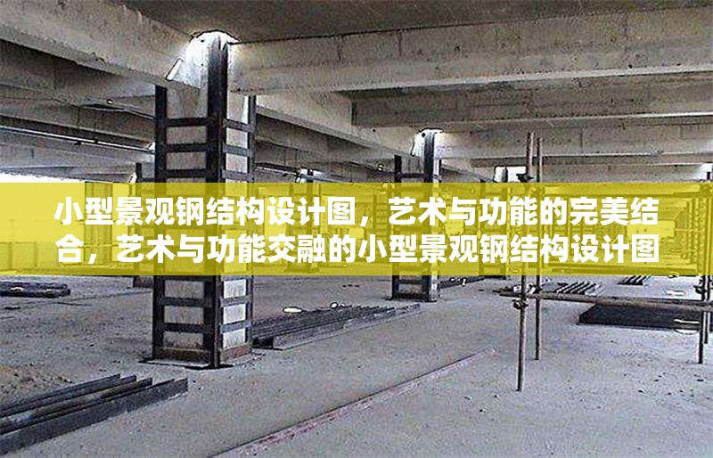 小型景觀鋼結(jié)構(gòu)設(shè)計圖，藝術(shù)與功能的完美結(jié)合，藝術(shù)與功能交融的小型景觀鋼結(jié)構(gòu)設(shè)計圖