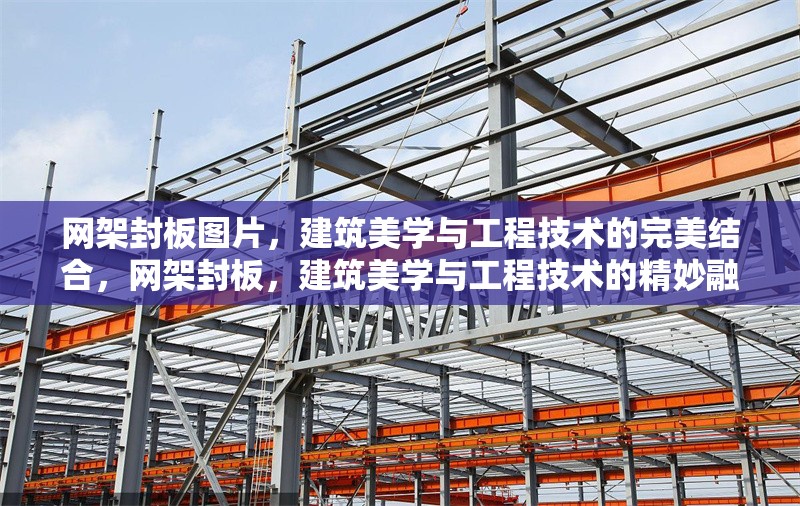 網(wǎng)架封板圖片，建筑美學(xué)與工程技術(shù)的完美結(jié)合，網(wǎng)架封板，建筑美學(xué)與工程技術(shù)的精妙融合，網(wǎng)架封板，建筑美學(xué)與工程技術(shù)的精妙融合