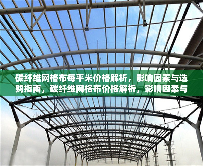碳纖維網(wǎng)格布每平米價(jià)格解析，影響因素與選購(gòu)指南，碳纖維網(wǎng)格布價(jià)格解析，影響因素與選購(gòu)指南