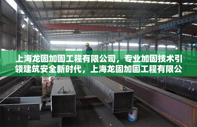 上海龍固加固工程有限公司，專業(yè)加固技術(shù)引領(lǐng)建筑安全新時代，上海龍固加固工程有限公司，專業(yè)加固技術(shù)引領(lǐng)建筑安全新時代