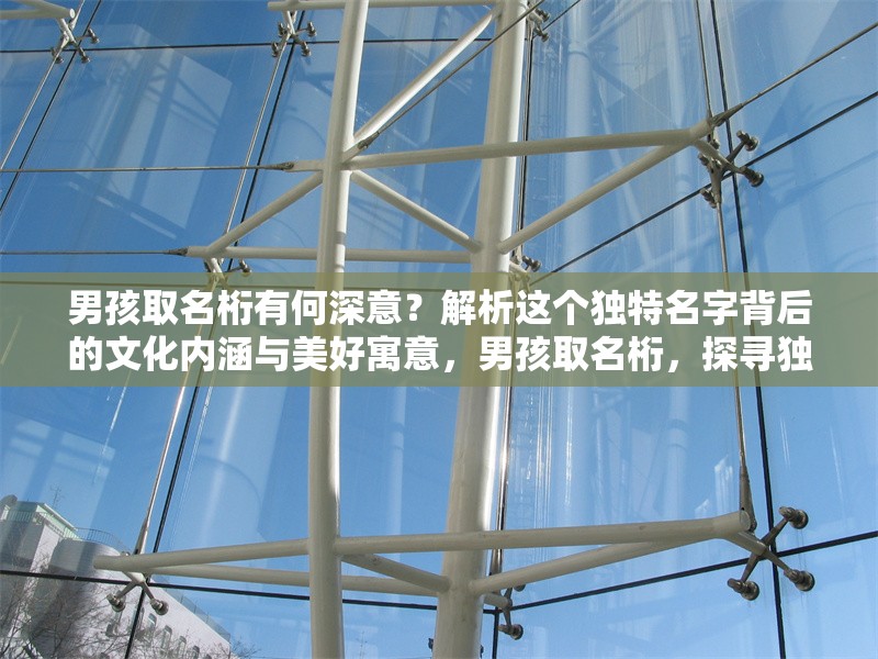 男孩取名桁有何深意？解析這個(gè)獨(dú)特名字背后的文化內(nèi)涵與美好寓意，男孩取名桁，探尋獨(dú)特名字背后的文化內(nèi)涵與美好寓意 行業(yè)新聞
