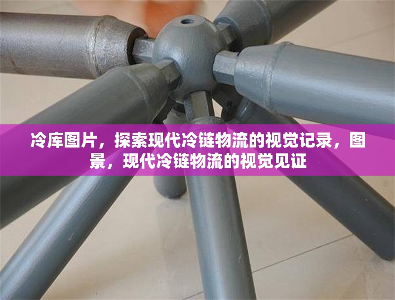 冷庫圖片，探索現(xiàn)代冷鏈物流的視覺記錄，圖景，現(xiàn)代冷鏈物流的視覺見證