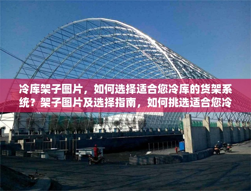 冷庫架子圖片，如何選擇適合您冷庫的貨架系統(tǒng)？架子圖片及選擇指南，如何挑選適合您冷庫的貨架系統(tǒng)