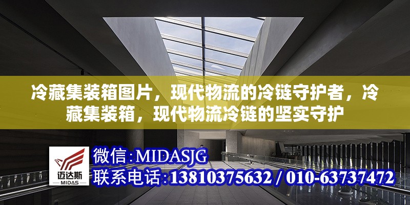 冷藏集裝箱圖片，現(xiàn)代物流的冷鏈?zhǔn)刈o(hù)者，冷藏集裝箱，現(xiàn)代物流冷鏈的堅(jiān)實(shí)守護(hù) 行業(yè)新聞