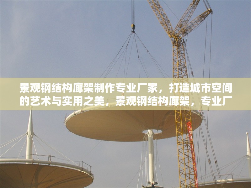 景觀鋼結(jié)構(gòu)廊架制作專業(yè)廠家，打造城市空間的藝術(shù)與實(shí)用之美，景觀鋼結(jié)構(gòu)廊架，專業(yè)廠家鑄就城市藝術(shù)實(shí)用之美 行業(yè)新聞