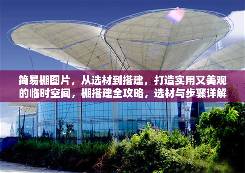 簡易棚圖片，從選材到搭建，打造實用又美觀的臨時空間，棚搭建全攻略，選材與步驟詳解，打造美觀實用 行業(yè)新聞