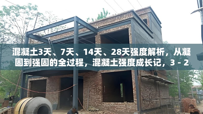 混凝土3天、7天、14天、28天強度解析，從凝固到強固的全過程，混凝土強度成長記，3 - 28天強度解析與