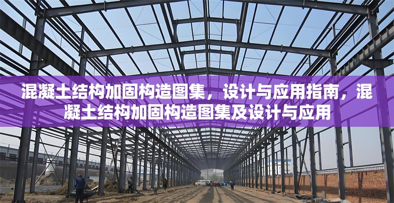 混凝土結構加固構造圖集，設計與應用指南，混凝土結構加固構造圖集及設計與應用