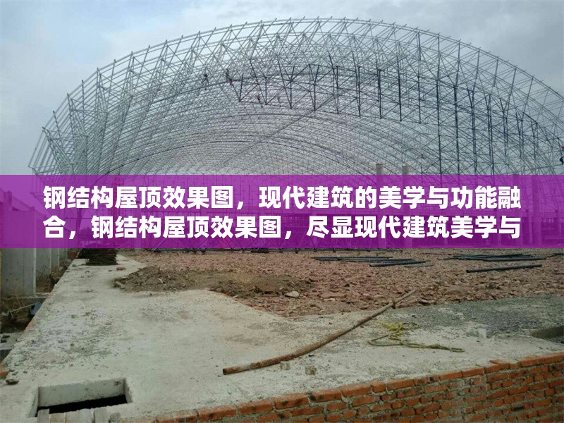 鋼結(jié)構(gòu)屋頂效果圖，現(xiàn)代建筑的美學(xué)與功能融合，鋼結(jié)構(gòu)屋頂效果圖，盡顯現(xiàn)代建筑美學(xué)與