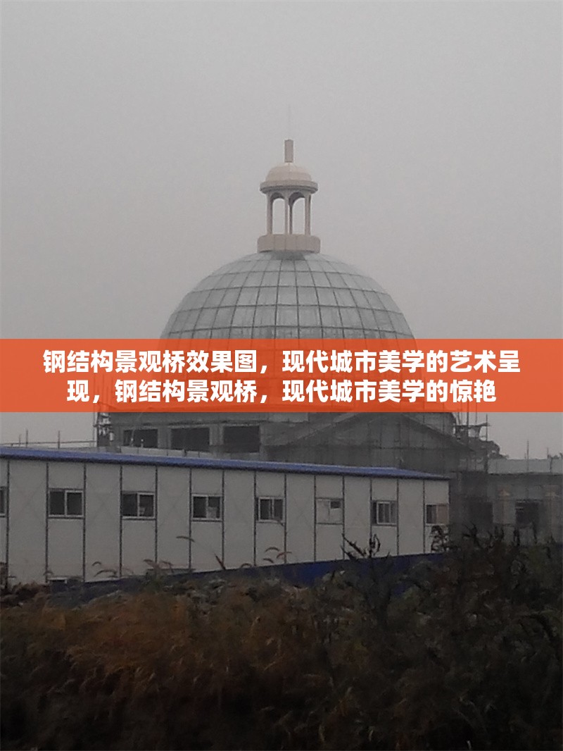 鋼結(jié)構(gòu)景觀橋效果圖，現(xiàn)代城市美學(xué)的藝術(shù)呈現(xiàn)，鋼結(jié)構(gòu)景觀橋，現(xiàn)代城市美學(xué)的驚艷 行業(yè)新聞