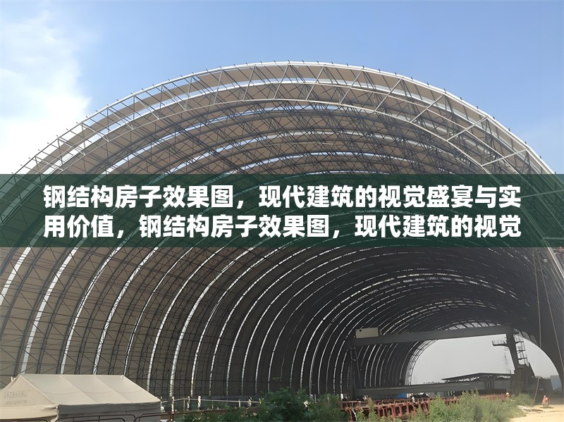 鋼結(jié)構(gòu)房子效果圖，現(xiàn)代建筑的視覺(jué)盛宴與實(shí)用價(jià)值，鋼結(jié)構(gòu)房子效果圖，現(xiàn)代建筑的視覺(jué)與