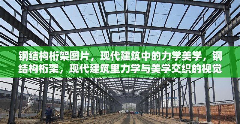 鋼結(jié)構(gòu)桁架圖片，現(xiàn)代建筑中的力學(xué)美學(xué)，鋼結(jié)構(gòu)桁架，現(xiàn)代建筑里力學(xué)與美學(xué)交織的視覺(jué)呈現(xiàn)