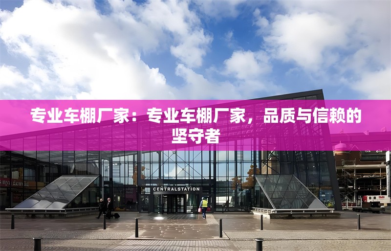 專業(yè)車棚廠家：專業(yè)車棚廠家，品質(zhì)與信賴的堅守者