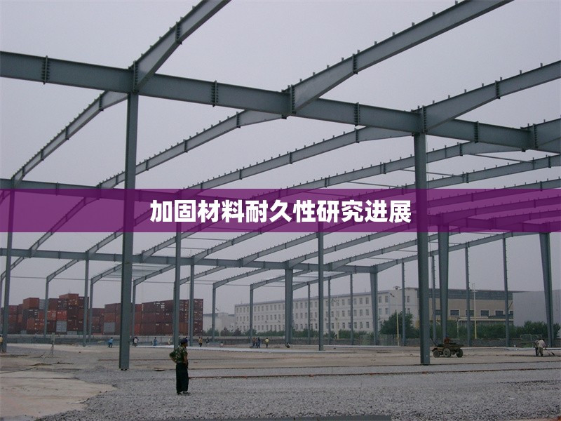 加固材料耐久性研究進(jìn)展 行業(yè)新聞 第1張 加固材料耐久性研究進(jìn)展 行業(yè)新聞 第1張