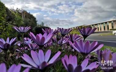 如何選擇專業(yè)的評(píng)估機(jī)構(gòu)，專業(yè)評(píng)估機(jī)構(gòu)挑選指南，關(guān)鍵要素與 行業(yè)新聞 第1張