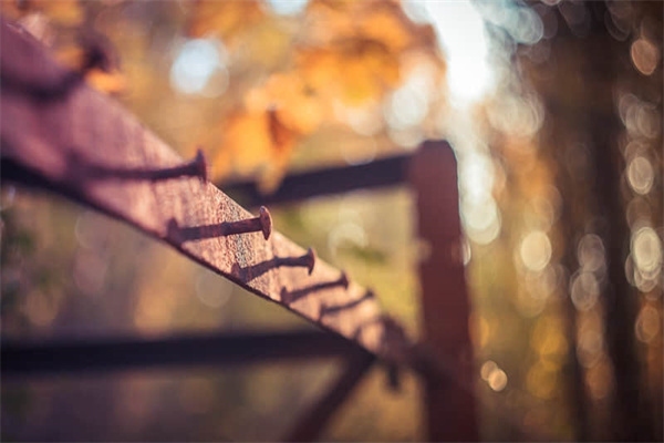 聚苯板與擠塑板性能對(duì)比，聚苯板與擠塑板性能大 行業(yè)新聞 第4張