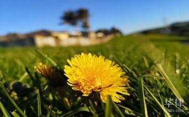 工業(yè)用地轉(zhuǎn)商業(yè)用地政策，工業(yè)用地轉(zhuǎn)商業(yè)用地政策，盤活土地資源的關(guān)鍵之舉，直接點(diǎn)明主題工業(yè)用地轉(zhuǎn)商業(yè)用地政策，后半句盤活土地資源的關(guān)鍵之舉強(qiáng)調(diào)了該政策在土地資源利用方面的重要意義，能夠吸引讀者關(guān)注這一政策內(nèi)容及其潛在價(jià)值， 行業(yè)新聞 第2張