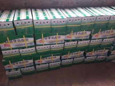 防火泥耐水測試設(shè)備選型，防火泥耐水測試設(shè)備選型指南 行業(yè)新聞 第1張