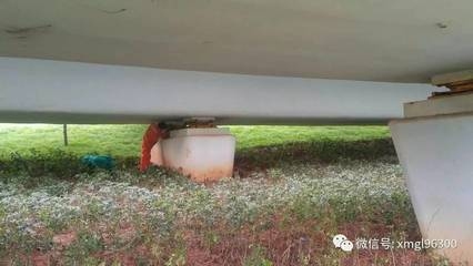 鋼板加固的防腐處理方法，鋼板加固的防腐處理，方法與要點(diǎn) 行業(yè)新聞 第2張