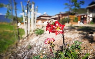 廠房拆遷補償款稅收優(yōu)惠，廠房拆遷補償款稅收優(yōu)惠，政策解讀 行業(yè)新聞 第3張