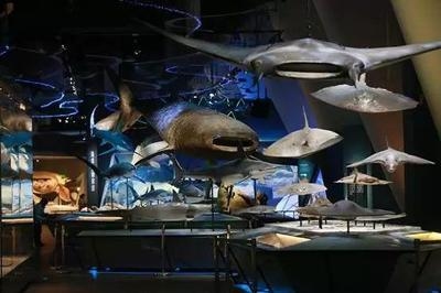 國(guó)家博物館加固對(duì)游客的影響，國(guó)家博物館加固工程對(duì)游客參觀體驗(yàn)的影響分析 行業(yè)新聞 第2張