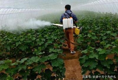 建筑病蟲害防治環(huán)保藥劑選擇，建筑病蟲害防治環(huán)保藥劑的優(yōu)選策略與應(yīng)用指南 行業(yè)新聞 第5張