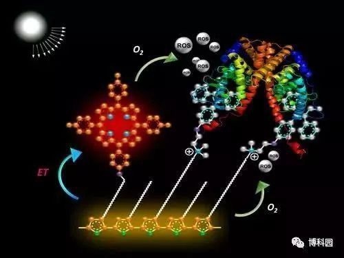 環(huán)氧樹脂兩布的耐腐蝕性能 行業(yè)新聞 第2張 環(huán)氧樹脂兩布的耐腐蝕性能 行業(yè)新聞 第2張