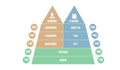 加固公司職業(yè)發(fā)展路徑 行業(yè)新聞 第5張 加固公司職業(yè)發(fā)展路徑 行業(yè)新聞 第5張