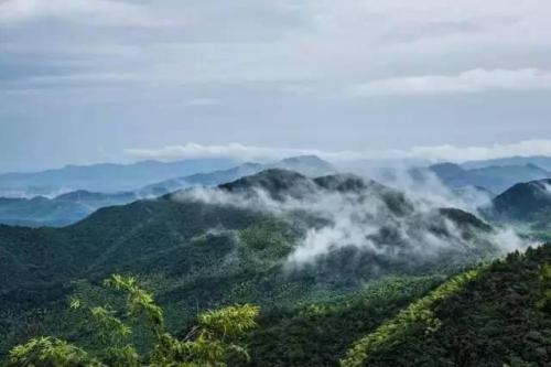 打造一間民宿多少錢 行業(yè)新聞 第2張 打造一間民宿多少錢 行業(yè)新聞 第2張