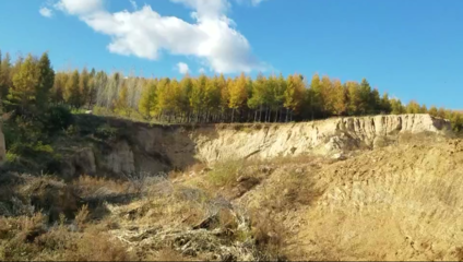 加固施工對(duì)生態(tài)環(huán)境的具體破壞有哪些？ 行業(yè)新聞 第5張