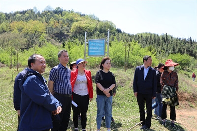 加固施工后期監(jiān)測技術應用 行業(yè)新聞 第5張 加固施工后期監(jiān)測技術應用 行業(yè)新聞 第5張