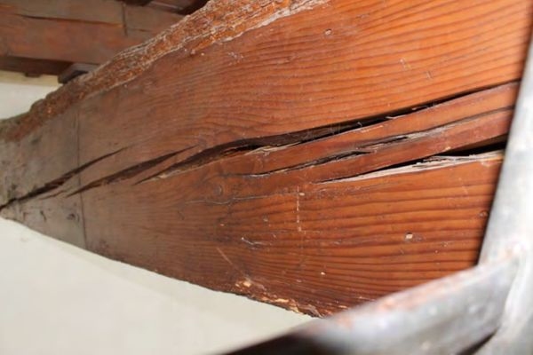 建筑加固后的病蟲害防治 行業(yè)新聞 第5張 建筑加固后的病蟲害防治 行業(yè)新聞 第5張