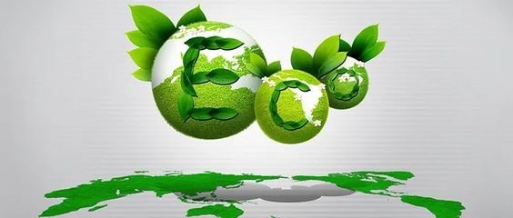 關(guān)于商場改造的通知 行業(yè)新聞 第4張 關(guān)于商場改造的通知 行業(yè)新聞 第4張