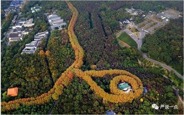 仿古材料在建筑加固中的應(yīng)用 行業(yè)新聞 第5張 仿古材料在建筑加固中的應(yīng)用 行業(yè)新聞 第5張