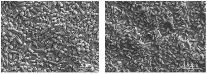 磷化處理對涂層耐腐蝕性的影響，化處理對涂層耐腐蝕 行業(yè)新聞 第5張
