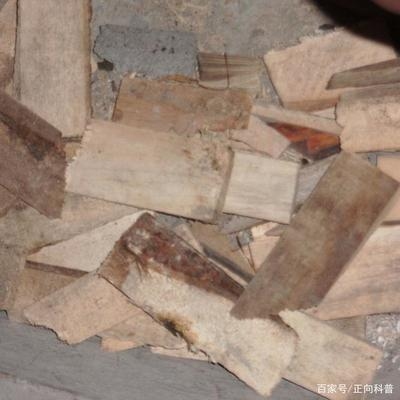 建筑加固材料成本控制技巧 行業(yè)新聞 第2張 建筑加固材料成本控制技巧 行業(yè)新聞 第2張