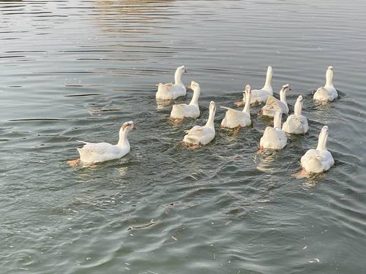 甲級設計院的市場競爭力優(yōu)勢，級設計院在建筑行業(yè)中的市場競爭力分析 行業(yè)新聞 第2張